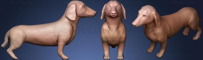 3D model Cleaned Dachshund (STL)